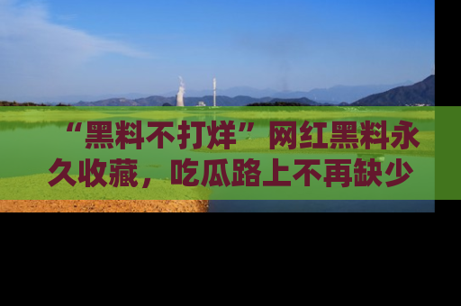 “黑料不打烊”网红黑料永久收藏，吃瓜路上不再缺少惊喜与乐趣