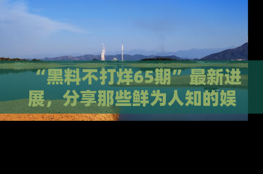 “黑料不打烊65期”最新进展，分享那些鲜为人知的娱乐八卦