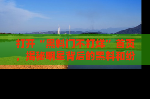 打开“黑料门不打烊”首页，揭秘明星背后的黑料和纷争真相！