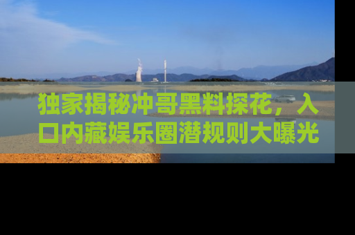 独家揭秘冲哥黑料探花，入口内藏娱乐圈潜规则大曝光