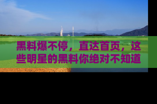 黑料爆不停，直达首页，这些明星的黑料你绝对不知道！