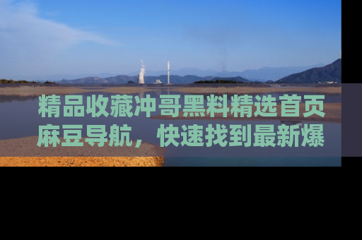 精品收藏冲哥黑料精选首页麻豆导航，快速找到最新爆料