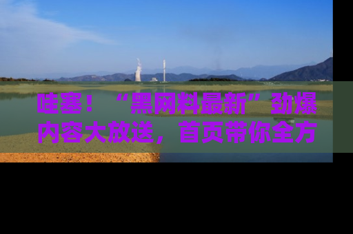 哇塞!“黑网料最新”劲爆内容大放送,首页带你全方位了解哦,小可爱们