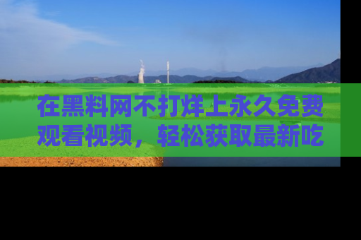在黑料网不打烊上永久免费观看视频,轻松获取最新吃瓜资讯!