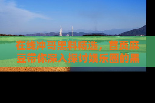 在线冲哥黑料精选,首页麻豆带你深入探讨娱乐圈的黑暗面